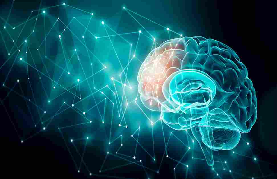 The Science of Cognitive Neuroscience